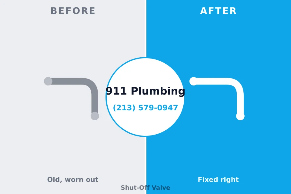 Before and after: plumbing repair Lakewood, NY